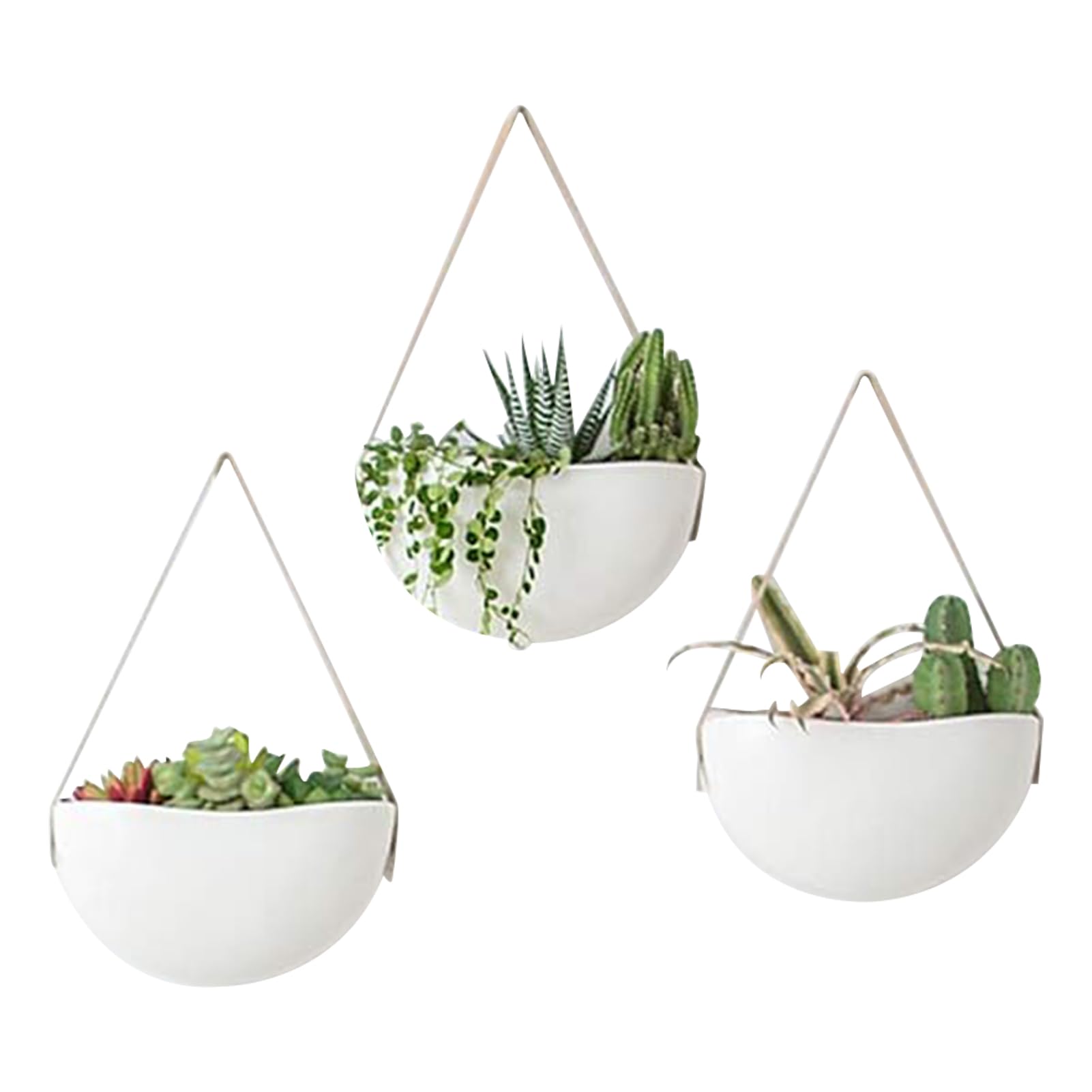 Amazon.co.jp: 植物ハンガー屋内、屋内植物用壁プランター3個